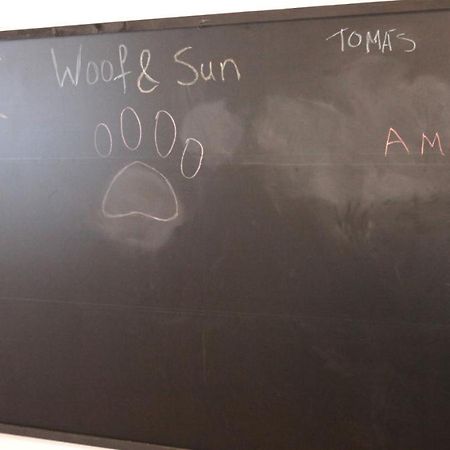 Вилла Woof & Sun Эшмориш Экстерьер фото