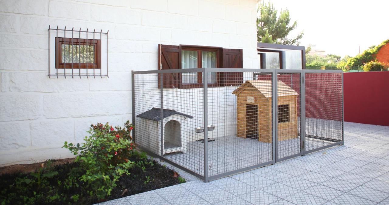 Вилла Woof & Sun Эшмориш Экстерьер фото