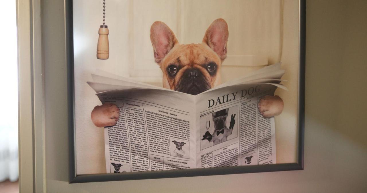 Вилла Woof & Sun Эшмориш Экстерьер фото