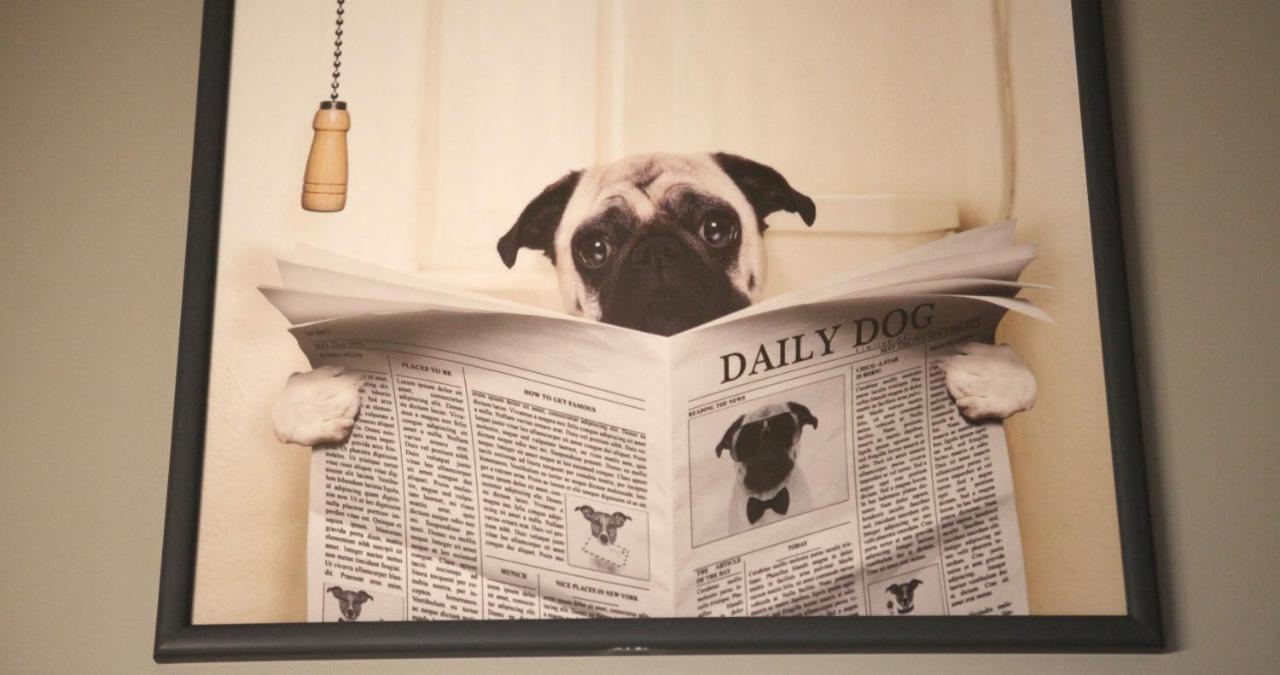 Вилла Woof & Sun Эшмориш Экстерьер фото
